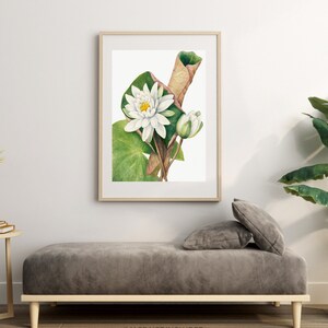 Botanical Plant,Botanical poster Printable, Flowers Poster, Botanical Prints Wildflower, Floral Wall Art, Vintage garden poster, Floral Art,