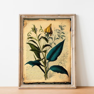 Vintage Garden Poster,Botanical Plant,Botanical poster Printable, Flowers Poster, Botanical Prints Wildflower, Floral Wall Art,  Floral Art,