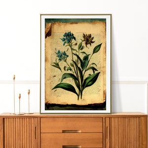 Vintage Garden Poster,Botanical Plant,Botanical poster Printable, Flowers Poster, Botanical Prints Wildflower, Floral Wall Art,  Floral Art,