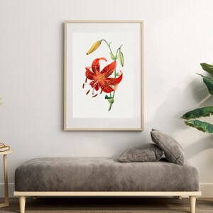 Botanical Plant,Botanical poster Printable, Flowers Poster, Botanical Prints Wildflower, Floral Wall Art, Vintage garden poster, Floral Art,