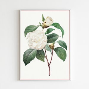 Botanical Plant,Botanical poster Printable, Flowers Poster, Botanical Prints Wildflower, Floral Wall Art, Vintage garden poster, Floral Art,