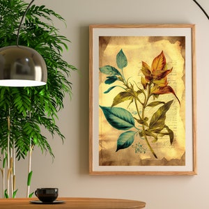 Vintage Garden Poster,Botanical Plant,Botanical poster Printable, Flowers Poster, Botanical Prints Wildflower, Floral Wall Art,  Floral Art,