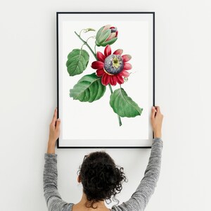Botanical Plant,Botanical poster Printable, Flowers Poster, Botanical Prints Wildflower, Floral Wall Art, Vintage garden poster, Floral Art,