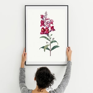 Botanical Plant,Botanical poster Printable, Flowers Poster, Botanical Prints Wildflower, Floral Wall Art, Vintage garden poster, Floral Art,