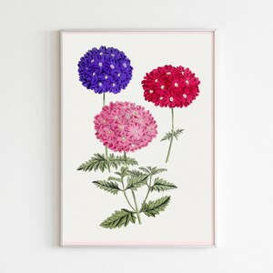 Botanical Plant,Botanical poster Printable, Flowers Poster, Botanical Prints Wildflower, Floral Wall Art, Vintage garden poster, Floral Art,