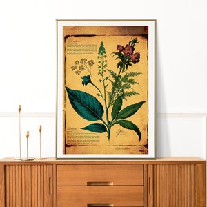 Vintage Garden Poster,Botanical Plant,Botanical poster Printable, Flowers Poster, Botanical Prints Wildflower, Floral Wall Art,  Floral Art,