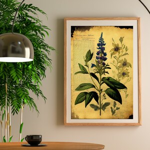 Vintage Garden Poster,Botanical Plant,Botanical poster Printable, Flowers Poster, Botanical Prints Wildflower, Floral Wall Art,  Floral Art,