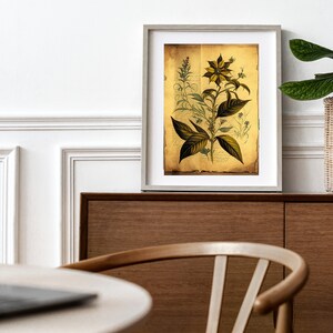 Vintage Garden Poster,Botanical Plant,Botanical poster Printable, Flowers Poster, Botanical Prints Wildflower, Floral Wall Art,  Floral Art,