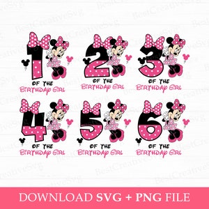 Bundle Geburtstag Mädchen SVG, Rosa Maus Geburtstag SVG, Happy Birthday SVG, Familiengeburtstag SVG, Png SVG-Dateien zum Ausdrucken, Sofortiger Download