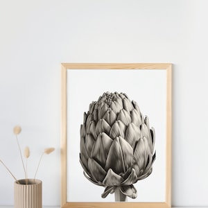 Artichoke Wall Art, Printable Artichoke Poster, Vintage Artichoke Print, Minimalist Kitchen Decor, Digital Wall Art, Nursery Decor