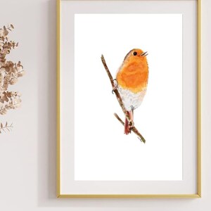 Illustrazione originale ad acquerello di un uccello - Pettirosso - arredamento per la casa, arte animale, decorazione murale, natura, fauna selvatica.