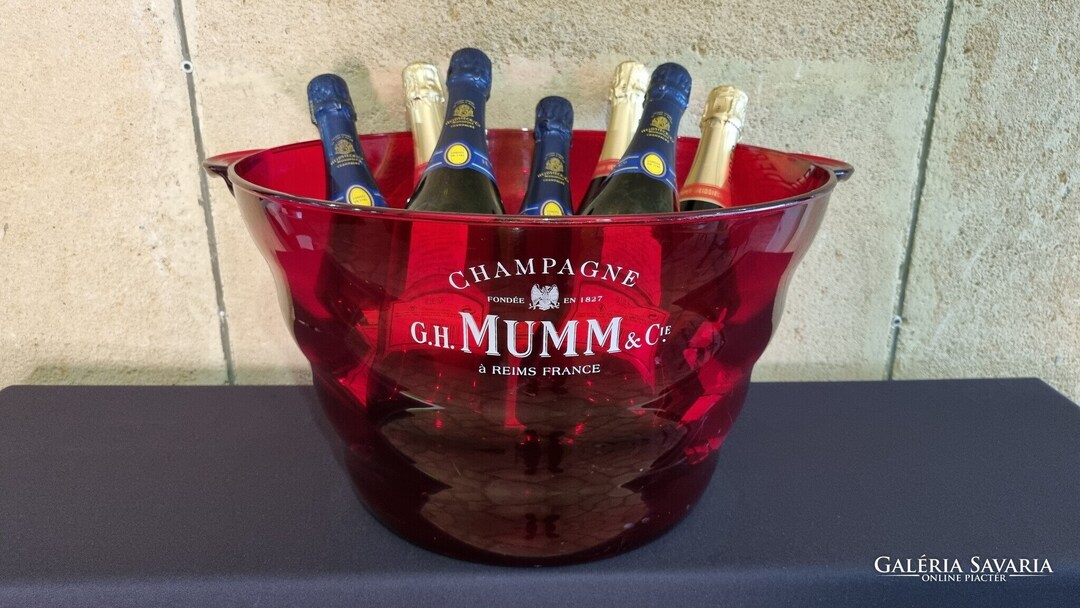 Huge G.H. MUMM Champagne Bucket Ice Bath for Cooling Etsy