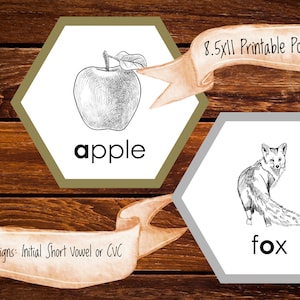 8.5x11 HEXAGON Short Vowel Posters