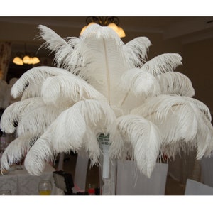 10pcs Black Ostrich Feathers 20-24 inch Fluffy Feather for Crafts Vase Wedding Centerpieces Home Party Decoration Christmas Decor
