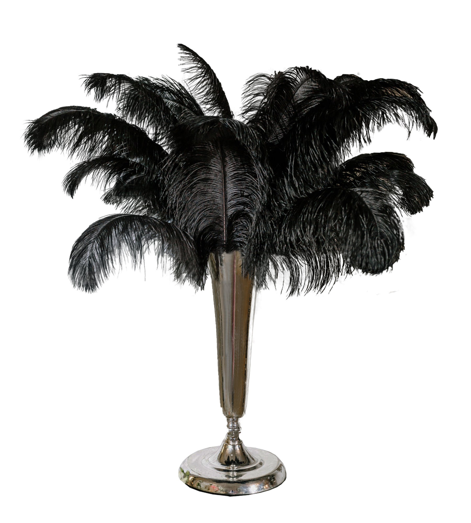 7-9 Inch Black Ostrich Feathers. 5 Black Feathers. Black Bird Feathers.  Center Piece Feathers. Black Wedding Feathers. Black Pen Feathers. 