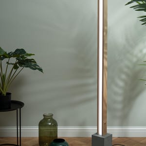 Pu&ograve; includere: Una lampada da terra moderna con una struttura in legno e una base in cemento. La lampada ha una fonte di luce bianca che illumina la stanza.