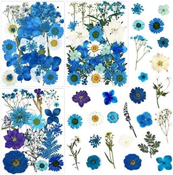 85 Pcs Blue Pressed Dried Flowers for Resin Molds, Real Natural Flowers  Leaves Bulk for DIY Art Nail Crafts, Jewelry, Candle, Soap Making 