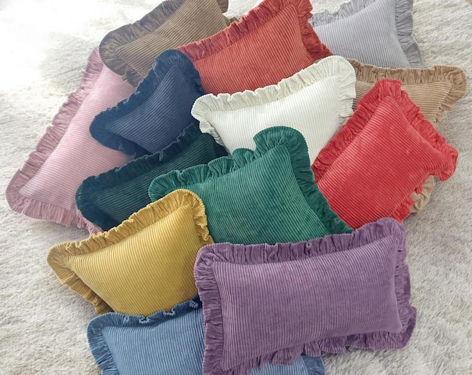 Soft Velvet Pillow with Frill - Velvet Frill Pillow - Exclusive pillows - Decorative Pillow - Sofa or Bed Cushion - Multicolor Pillow