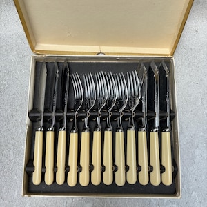 Può includere: Un set di posate vintage in una scatola. Il set include coltelli e forchette con manici color crema e lame argentate. La scatola beige ha un interno nero e le posate sono ben disposte.