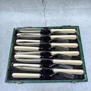 Può includere: Un set di posate d'epoca, tra cui coltelli e forchette, disposte in una scatola verde foderata di velluto nero. I coltelli hanno lame d'argento decorative e manici color crema. Le forchette hanno rebbi d'argento e manici color crema.