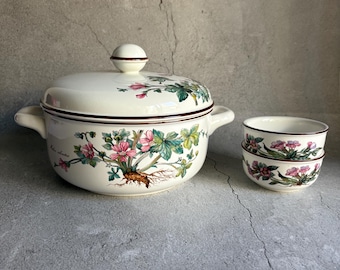 Villeroy & Boch Botanica Soup Pot with Original Box + 2 Bowls, Vintage German Cookware Set