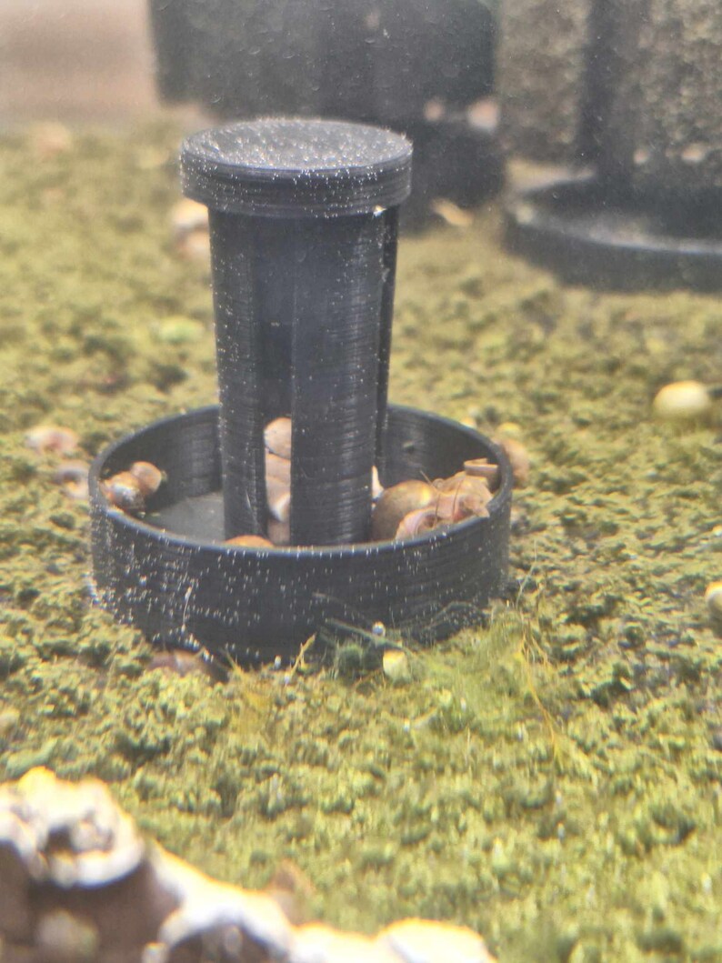 Snail Saver Trap Etsy