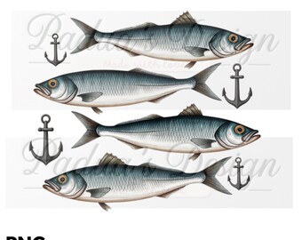 Imágenes prediseñadas de sardinas: imágenes PNG de peces costeros del océano (descarga digital 4500x4500px)