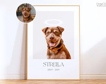 Op de afbeelding: Een ingelijst portret van een bruin-witte hond met een gloeiende halo boven zijn hoofd. De hond lacht met zijn tong uit. De naam "STREILA" en de jaren "2007 - 2021" staan eronder afgedrukt.