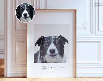 Könnte beinhalten: Ein gerahmter Druck mit einem Porträt eines schwarz-weißen Border Collie-Hundes. Der Name des Hundes, MILO, und die Jahre 2007-2021 sind darunter gedruckt. Ein kleineres kreisförmiges Bild des Hundes befindet sich in der oberen linken Ecke.
