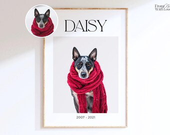 Könnte beinhalten: Gerahmter Druck mit einem Hund, der einen roten Schal trägt. Der Hund hat schwarz-weiße Markierungen und steht im Mittelpunkt. Der Name "DAISY" steht über dem Bild, darunter die Jahreszahlen "2007 - 2021".
