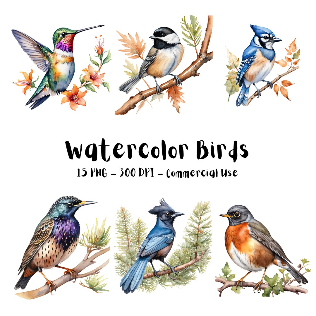 Watercolor Birds PNG Bundle | 15 Cute Birds Animal Clipart | for ...