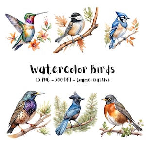 Watercolor Birds PNG Bundle | 15 Cute Birds Animal Clipart | For Nursery Baby Shower Print Design | Commercial Use + Transparency