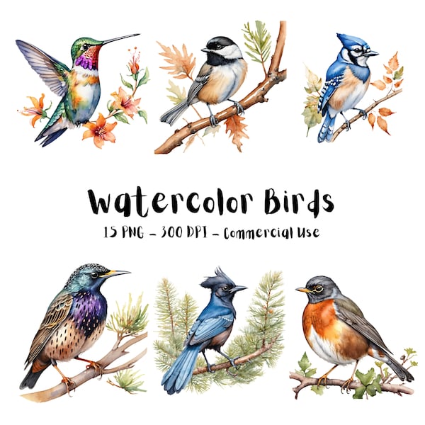 Watercolor Birds PNG Bundle | 15 Cute Birds Animal Clipart | For Nursery Baby Shower Print Design | Commercial Use + Transparency