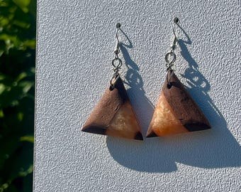 Hand Carved Walnut & Resin Earrings w/ Stainless Steel Hooks