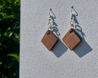 Minimalist Walnut Earrings w/ Stainless Steel Hooks