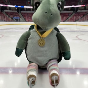 May include: A plush turtle mascot wearing a gold medal and striped leg warmers, posed on an ice rink. The turtle has a green head and arms, a gray body, and is wearing ice skates.