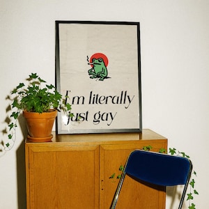 May include: Framed art print featuring a green frog smoking a cigarette in front of a red sun. The text "I'm literally just gay" is below the frog. The print is displayed on a wooden cabinet with a potted plant.