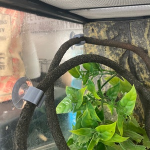 May include: A reptile habitat interior with a dark brown, textured vine held in place by grey clips with suction cups. Artificial green foliage is visible. The background features a textured rock wall, creating a naturalistic setting.