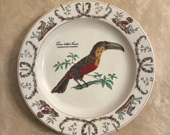 Vintage Ornithology Plates • Set of 4 Porcelain Bird Wall Decor, Toucan Plate