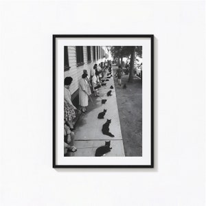 黒猫を連れた飼い主のプリント、白黒ウォールアート、ビンテージプリント、写真プリント、美術館品質の写真アートプリント
