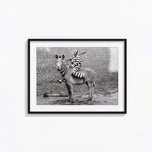 May include: A black and white striped zebra with a person wearing a striped prison uniform riding on its back. The person is holding a baseball bat. The zebra and person are standing in front of a brick wall.