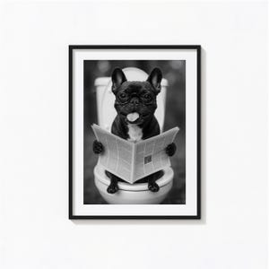 Stampa di un bulldog francese seduto sul water, stampa murale in bianco e nero con un cane, stampe fotografiche, stampe fotografiche di qualità museale, poster alla moda con un cane.