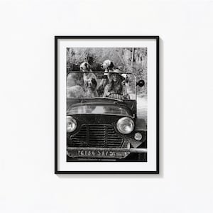 Brigitte Bardot met honden poster, grappige dieren zwart-witte muurkunst, vintage print, fotografie-prints, museum kwaliteit fotokunst print