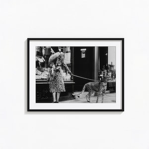 Impresión de leopardo con correa, foto de animal vintage, arte de pared en blanco y negro, impresión vintage, impresiones fotográficas, impresión fotográfica de calidad de museo