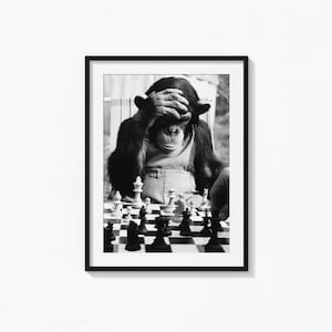May include: A black and white photograph of a chimpanzee playing chess. The chimpanzee is covering its eyes with its hand, as if it is thinking about its next move. The chessboard is in the foreground, with pieces arranged in a mid-game position.