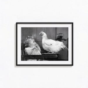 Impresión de "Ataque de Pollito Aterrador", Arte mural de animales en blanco y negro, Impresión vintage, Impresiones fotográficas, Impresión fotográfica con calidad de museo
