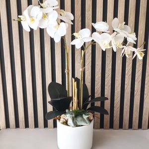 Könnte beinhalten: Ein Arrangement aus künstlichen Orchideen in einem weißen Keramiktopf. Es zeigt weiße Blüten mit gelben Zentren, dunkelgrüne Blätter und Bambusstiele. Eine kleine Froschfigur liegt oben auf dem Topf, der mit Moos und kleinen Steinen gefüllt ist.