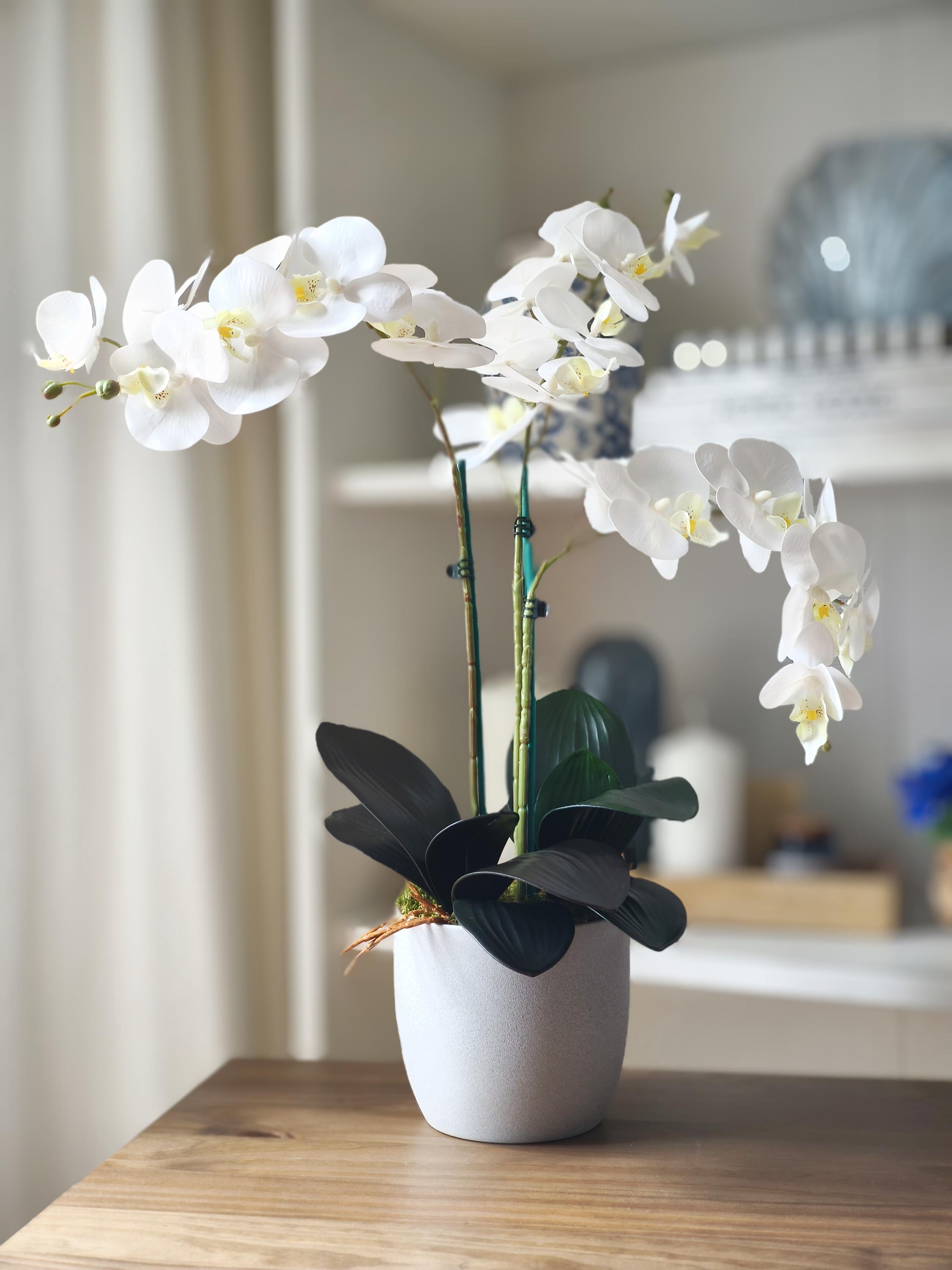 Künstliches hygge Orchideen-Gesteck im Topf, heller Kunst-Blumenstrauß, weiße Orchideen wie echt, Geschenk für Mama