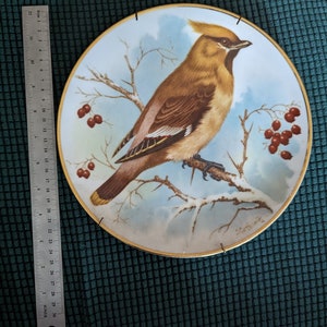 Vintage Decorative Robin Plate Crafts by Valerie Bogen Orillia, Canada