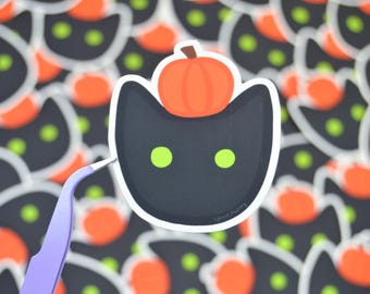 Pumpkin Cat Sticker: Halloween Spooky Matte Sticker